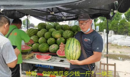 红料社吃瓜爆料视频,吃瓜视频背后的惊人真相